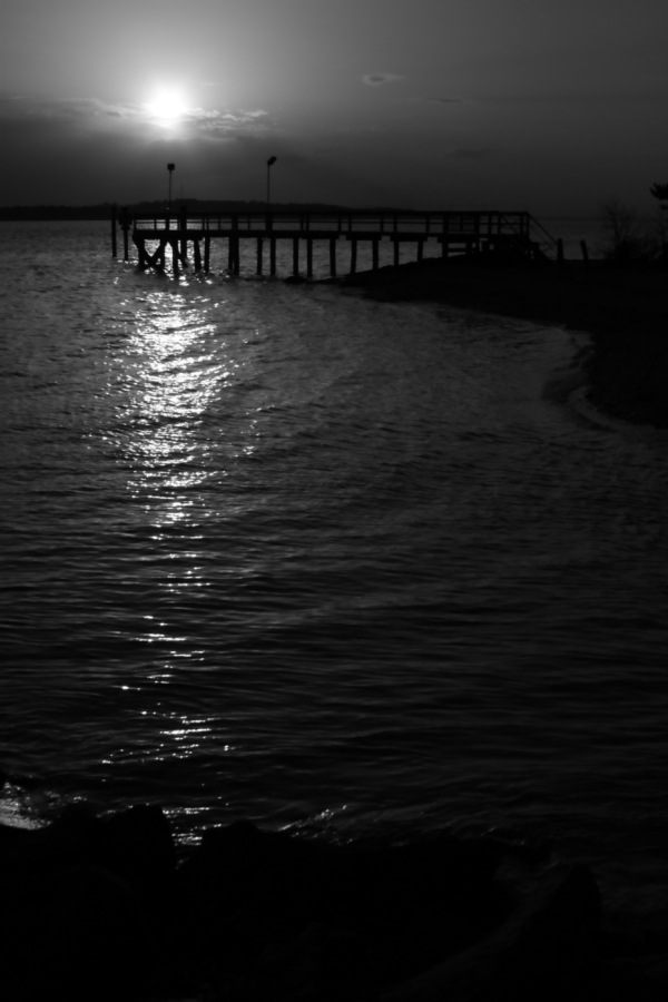 2010 04 22 IMG 9999 113
